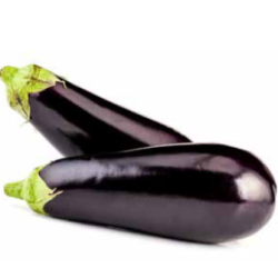 Oberżyna Epic 500 nasion st